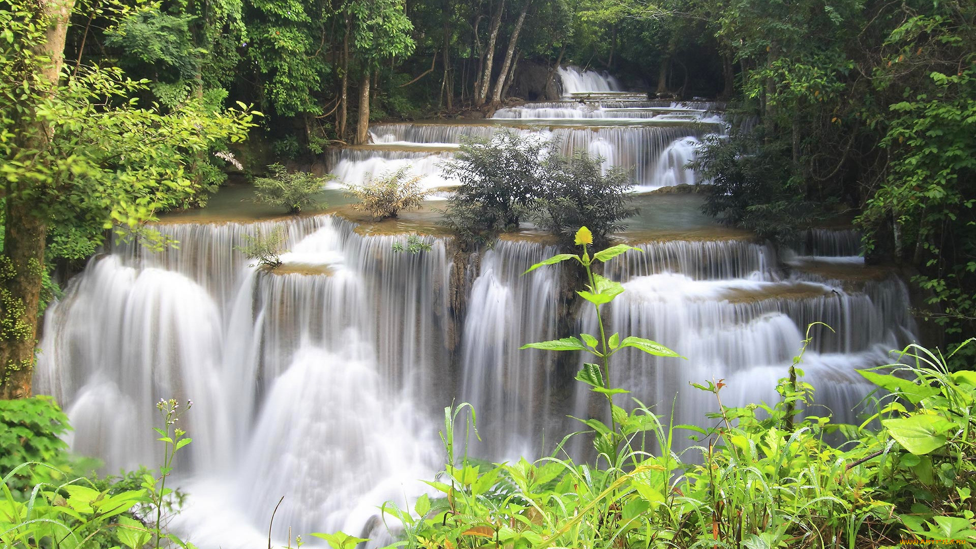 forest stream cascades, thailand, , , forest, stream, cascades